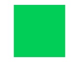 Filtre gélatine LEE FILTERS Moss green 089 - rouleau 7,62m x 1,22m-