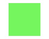 Filtre gélatine LEE FILTERS Fern green 122 - rouleau 7,62m x 1,22m-