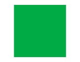 Filtre gélatine LEE FILTERS Dark green 124 - feuille 0,53m x 1,22m-