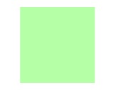 Filtre gélatine LEE FILTERS Pale green 138 - feuille 0,53m x 1,22m-