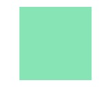 Filtre gélatine LEE FILTERS Lee fluorescent 3600 K 243 - rouleau 7,62m x 1,22m-