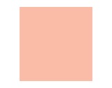 Filtre gélatine ROSCO SUPERGEL Pale Apricot - feuille 0,50m x 0,61m-