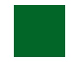 Filtre gélatine ROSCO SUPERGEL Primary Green - feuille 0,50m x 0,61m-