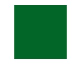 Filtre gélatine ROSCO SUPERGEL Primary Green - feuille 0,50m x 0,61m-