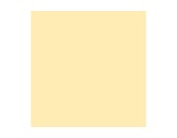Filtre gélatine LEE FILTERS Zircon Warm Amber 8 809 - rouleau 3,05m x 1,20m-