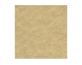 MOQUETTE • Beige Foncé filmée 2m X 50ml - Pièce de 100m2-