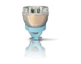 PHILIPS • MSD 550W Platinum 25 R 24500 lm 8000K 1500H-