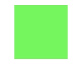 Filtre gélatine ROSCO FERN GREEN - feuille 0,53 x 1,22-filtres-rosco-e-color