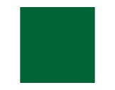 Filtre gélatine ROSCO FOREST GREEN - feuille 0,53 x 1,22